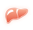 Liver icon
